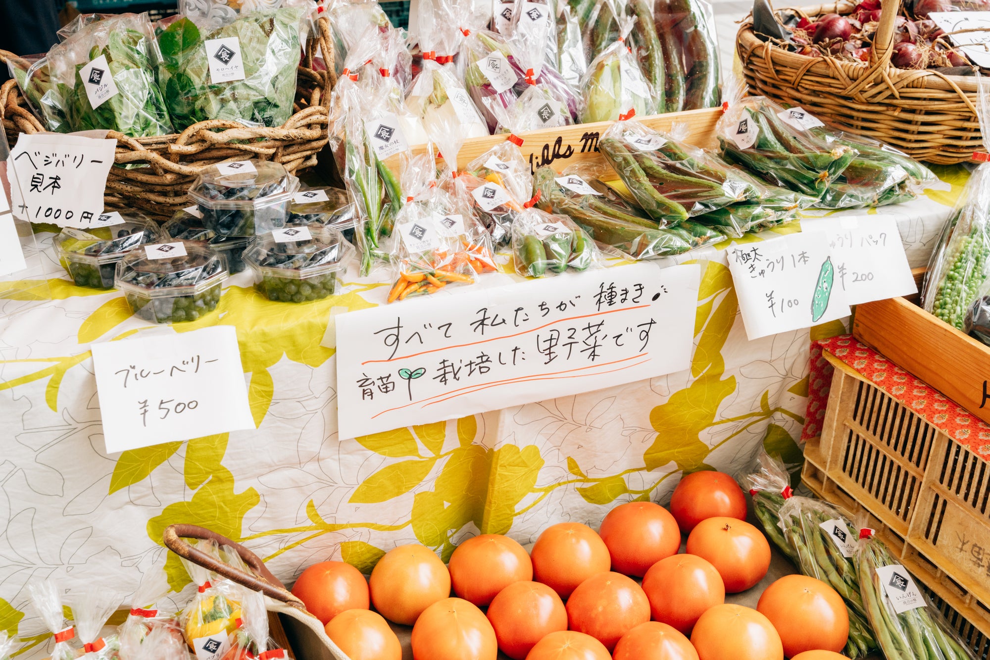 ヒルズマルシェに出店！<br> ベジバリー初お披露目🍅✨