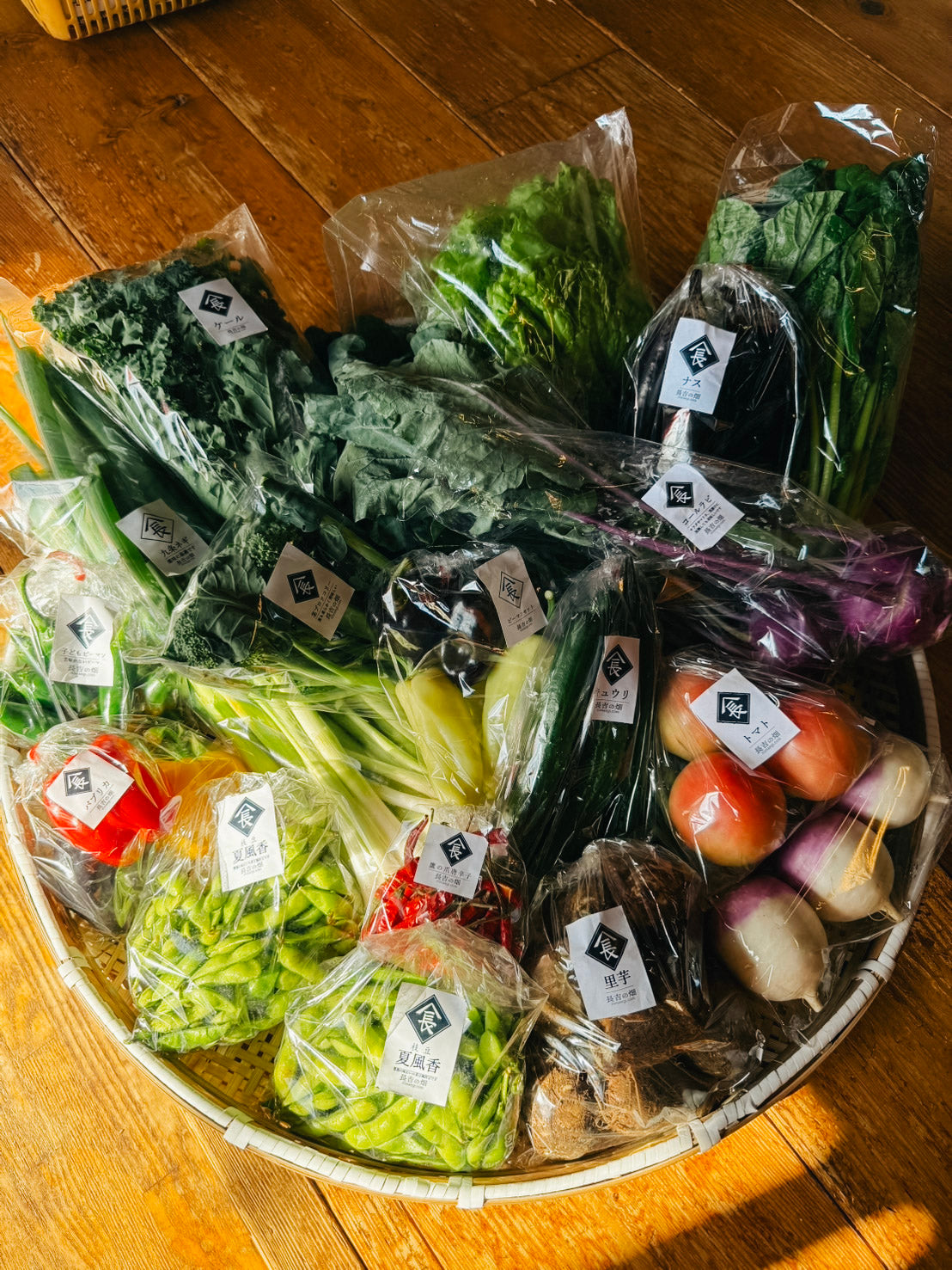 おまかせパック