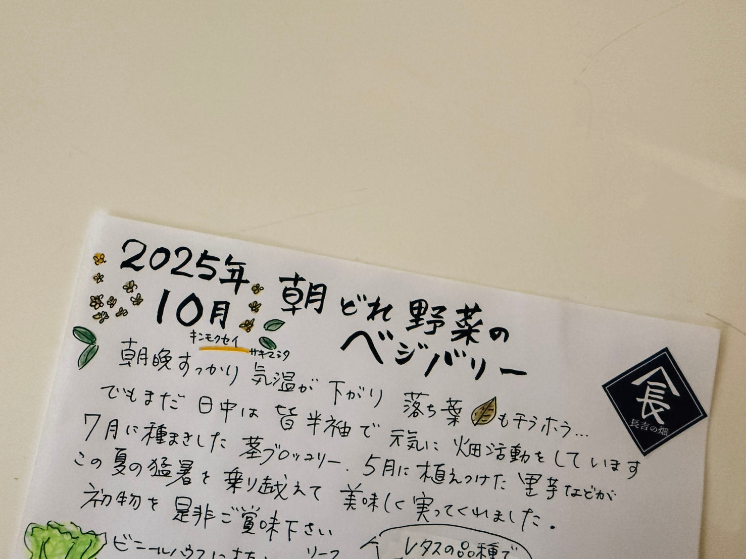 スモールパック