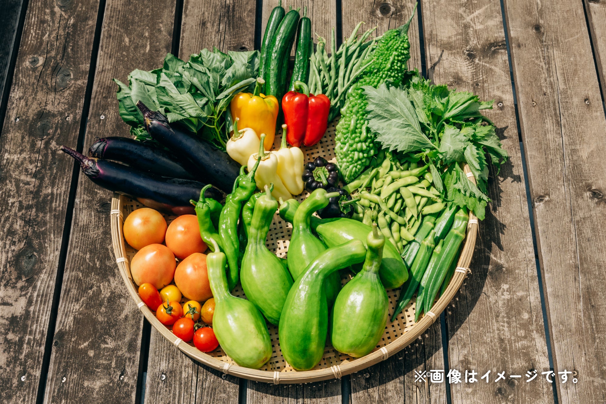 おまかせパック / クール便送料込
