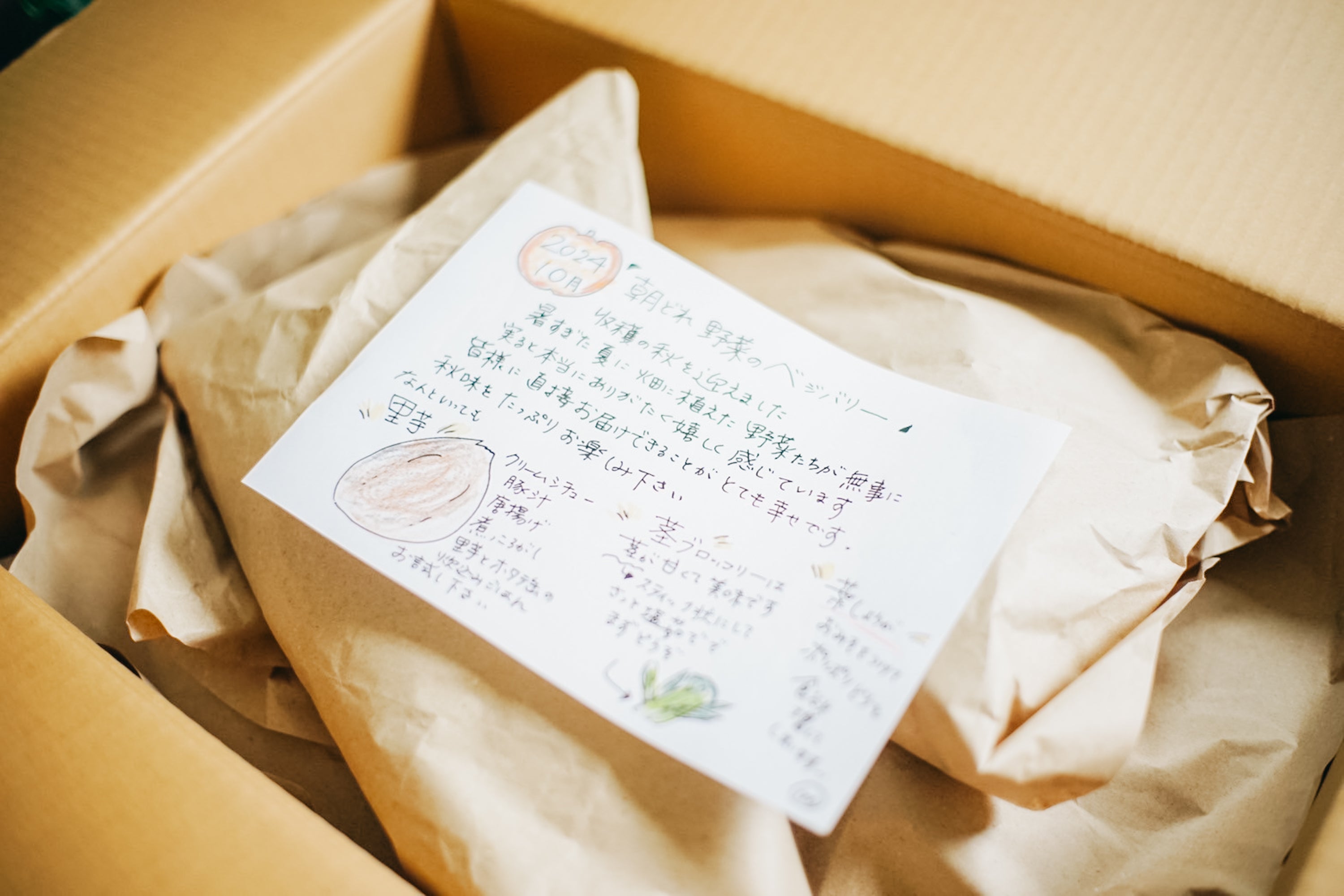 おまかせパック / クール便送料込